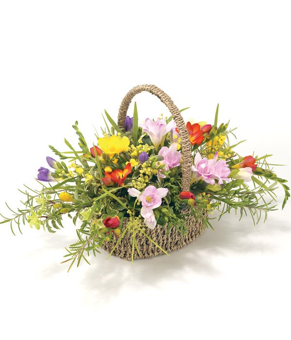 Mixed Fresia Basket