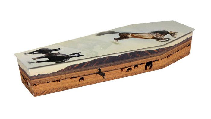 Coffin Wild Horses Picture