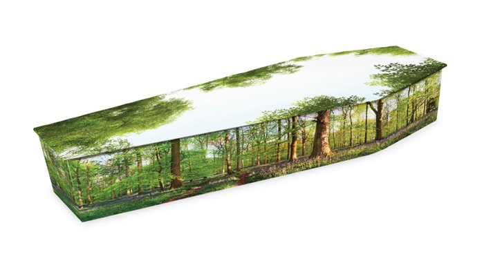 Coffin Woodlands Picture